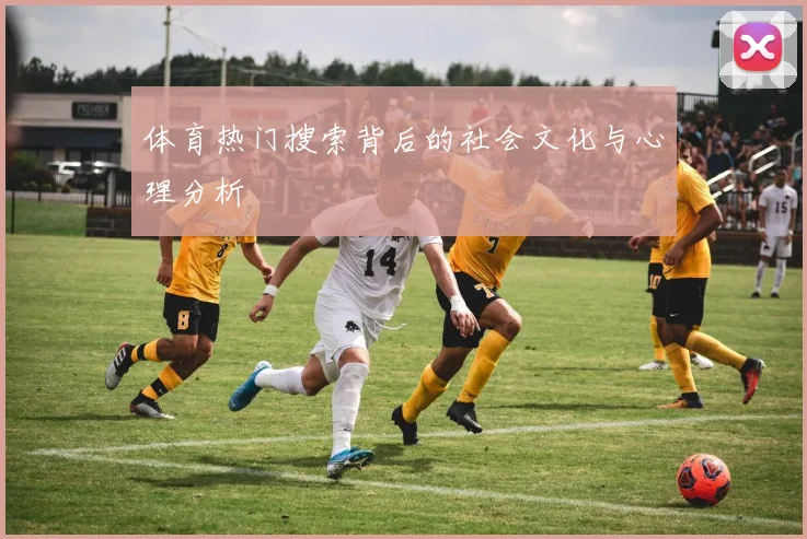 体育热门搜索背后的社会文化与心理分析