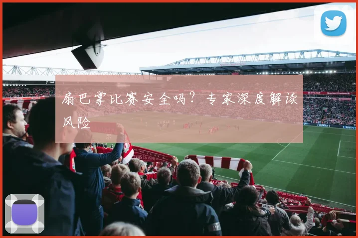扇巴掌比赛安全吗？专家深度解读风险