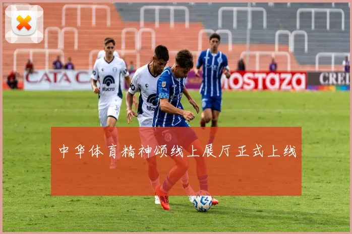 中华体育精神颂线上展厅正式上线